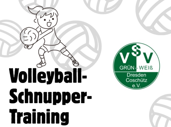 Volleybälle, Logo und Text "Volleyballschnupprertraining"